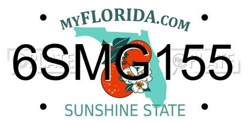 6SMG155 Florida License Plate