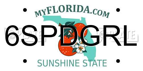 6SPDGRL Florida License Plate