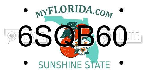 6SQB60 Florida License Plate