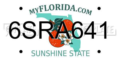 6SRA641 Florida License Plate