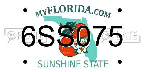 6SS075 Florida License Plate
