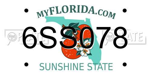 6SS078 Florida License Plate