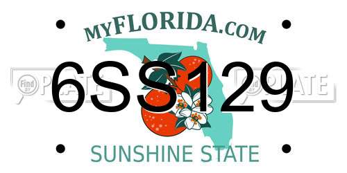 6SS129 Florida License Plate