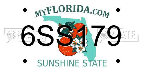 6SS179 Florida License Plate