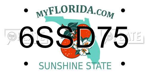 6SSD75 Florida License Plate