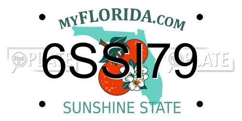6SSI79 Florida License Plate
