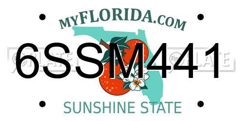 6SSM441 Florida License Plate