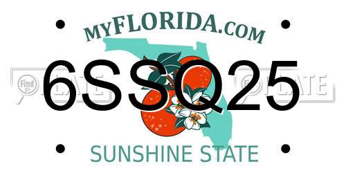 6SSQ25 Florida License Plate