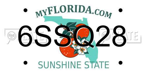 6SSQ28 Florida License Plate