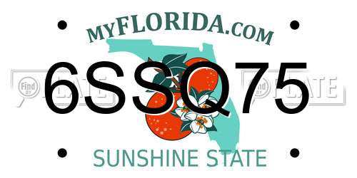 6SSQ75 Florida License Plate