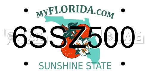 6SSZ500 Florida License Plate