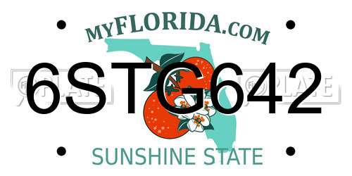 6STG642 Florida License Plate
