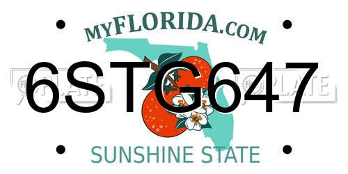 6STG647 Florida License Plate