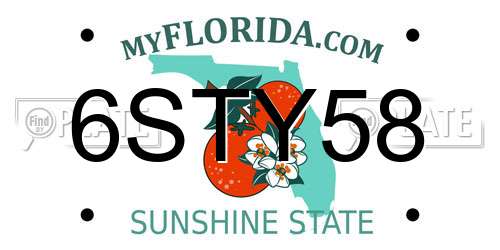 6STY58 Florida License Plate