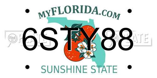 6STY88 Florida License Plate