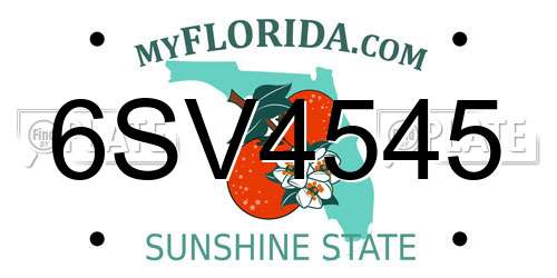 6SV4545 Florida License Plate