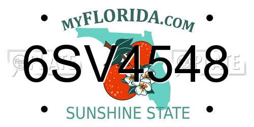 6SV4548 Florida License Plate