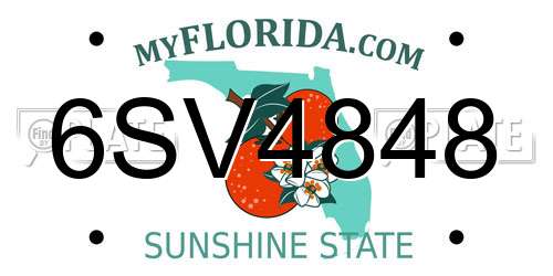 6SV4848 Florida License Plate