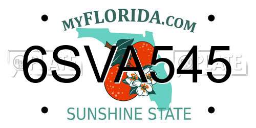 6SVA545 Florida License Plate