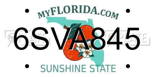 6SVA845 Florida License Plate