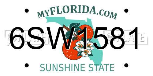 6SW1581 Florida License Plate