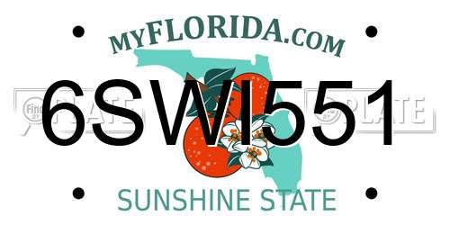 6SWI551 Florida License Plate