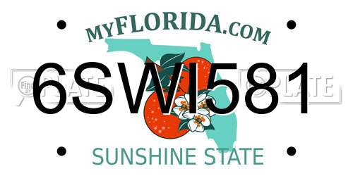 6SWI581 Florida License Plate