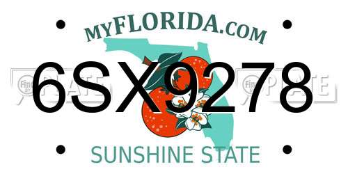 6SX9278 Florida License Plate