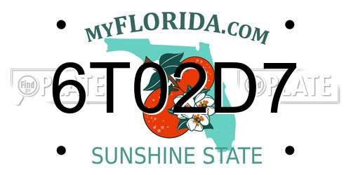 6T02D7 Florida License Plate