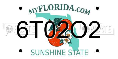 6T02O2 Florida License Plate
