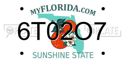 6T02O7 Florida License Plate