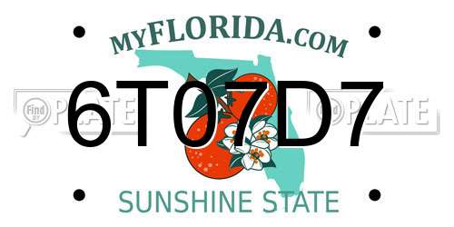 6T07D7 Florida License Plate
