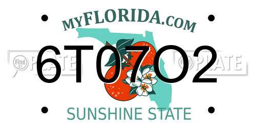 6T07O2 Florida License Plate