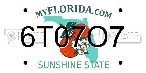 6T07O7 Florida License Plate