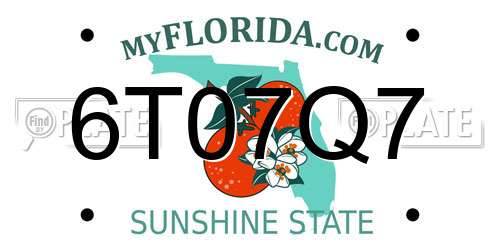 6T07Q7 Florida License Plate