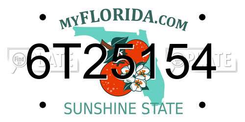 6T25154 Florida License Plate