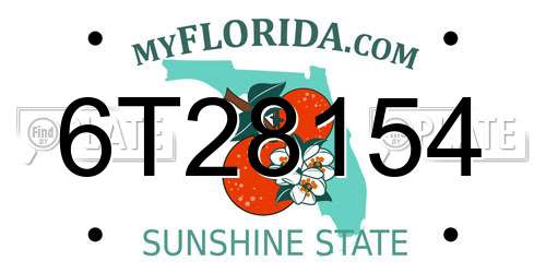 6T28154 Florida License Plate