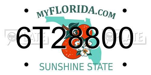 6T28800 Florida License Plate
