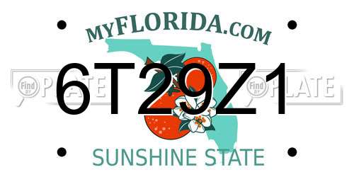 6T29Z1 Florida License Plate