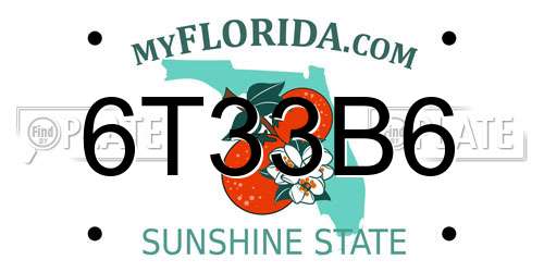 6T33B6 Florida License Plate