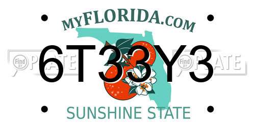 6T33Y3 Florida License Plate