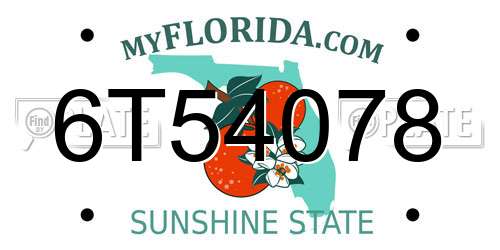 6T54078 Florida License Plate