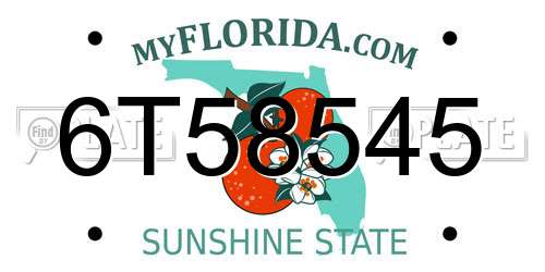 6T58545 Florida License Plate
