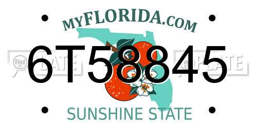 6T58845 Florida License Plate