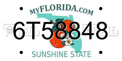 6T58848 Florida License Plate