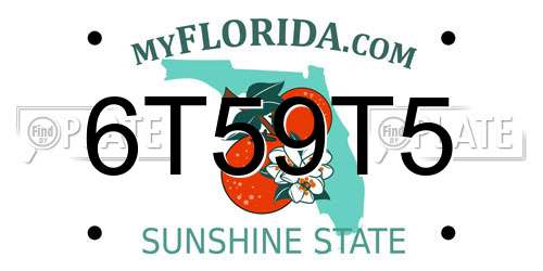 6T59T5 Florida License Plate