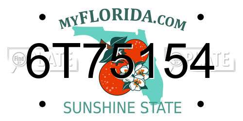 6T75154 Florida License Plate