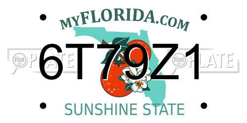 6T79Z1 Florida License Plate