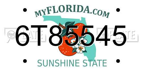 6T85545 Florida License Plate