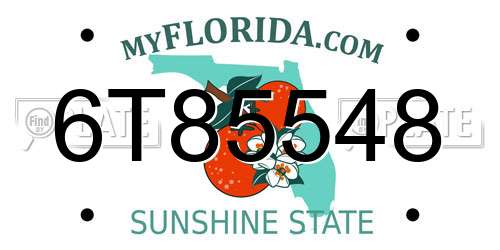 6T85548 Florida License Plate